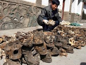 121 Human Skulls Found in China