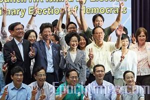 Pan-Democratic Party Supports Anson Chan