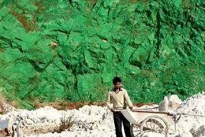 The Barren Side of a Mountain Is Painted Green