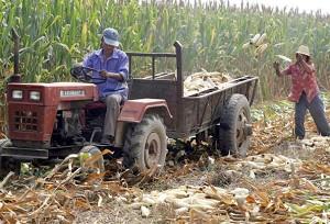 China Shows Inability to Solve Escalating Rural Problems