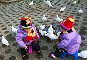 China Is Source of Bird Flu Virus, Study Shows