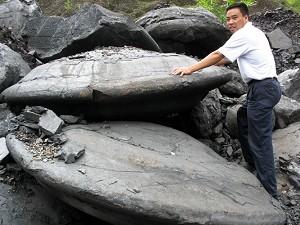 Odd Stones Found In China Formed About 300 million Years Ago