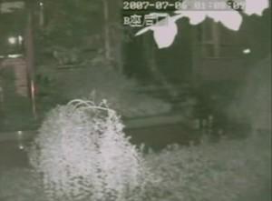 Flying Dragon Shot by Security Camera in China