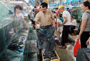 Pesticide Found in Fish Processed in China