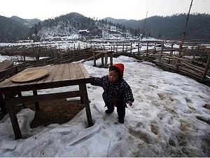 Severe Snowstorms Damages China’s Forests