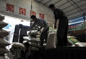 Largest Grain Reserve Supply Stolen in Northeast China