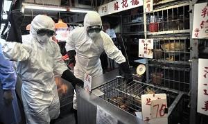 China Reports Bird Flu Outbreak Near Hong Kong Border
