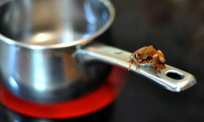 Boiled-Frog Syndrome – the Biggest Killer of All Time