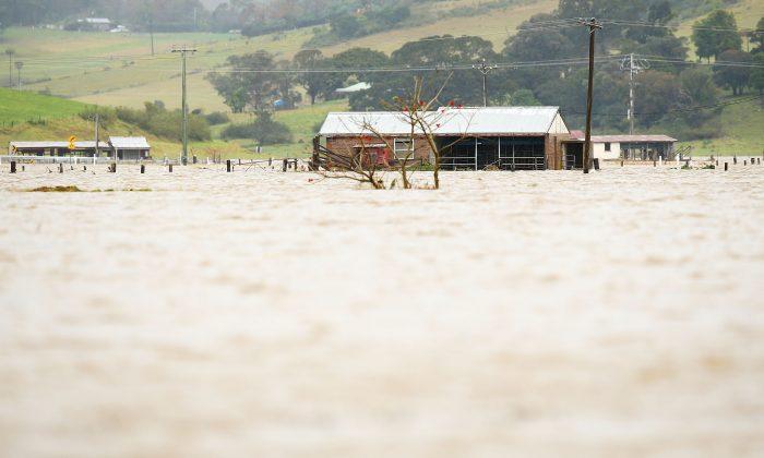 NSW Floods Cause $190 Million Crop Damage