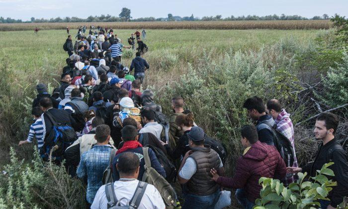 Record Number of Migrants as Hungary Hurries Border Fence