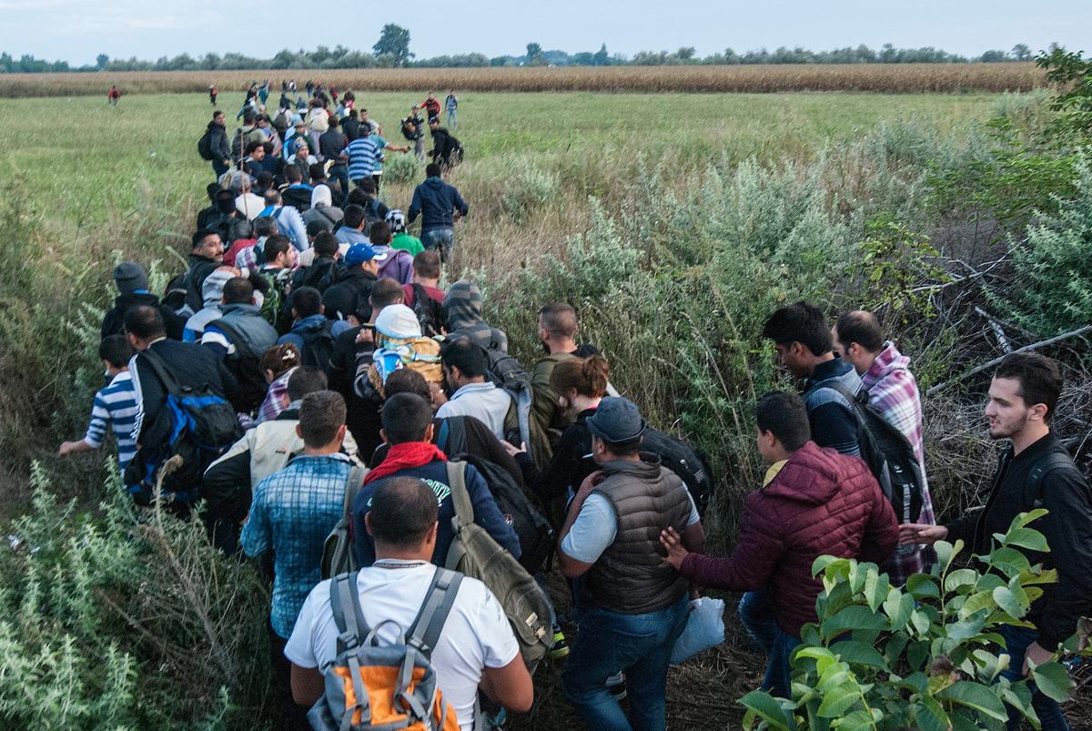 Record Number of Migrants as Hungary Hurries Border Fence