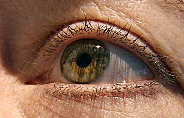 U.S. scientists have identified two genes responsible for macular degeneration, the gradual deterioration of eyesight in the elderly that can lead to blindness. The research published in April 2007, in the Journal of the American Medical Association also showed that smoking and being overweight carries a strong risk of the condition in which the central part of the eye's retina degenerates. (KAREN BLEIER/AFP/Getty Images)