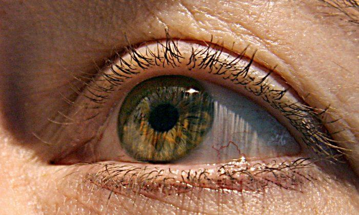 Your Aging Eyes: How You See as Time Goes By