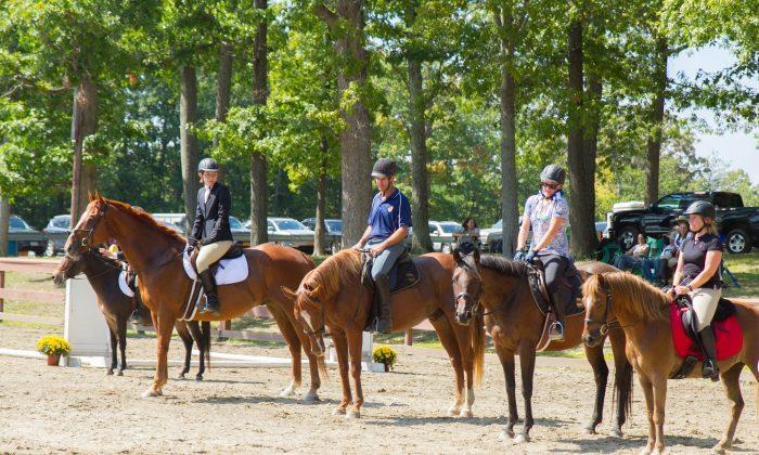 Middletown Horse Show Helps Rescued Horses, Other Charities