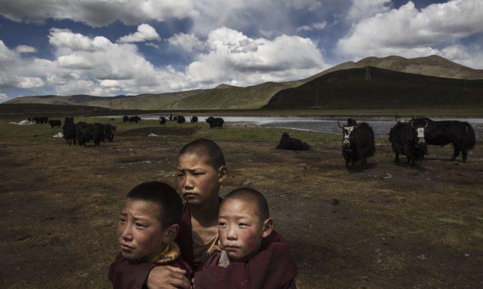 In Politicized White Paper, China Says Tibet Is in a ‘Golden Age’