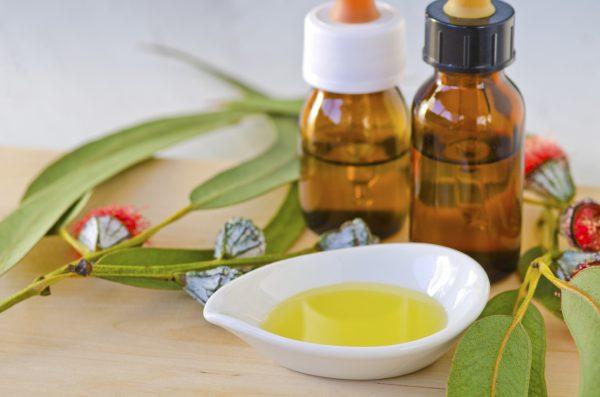 Eucalyptus essential oil is excellent for helping to alleviate chest congestion and coughs. (iStock)