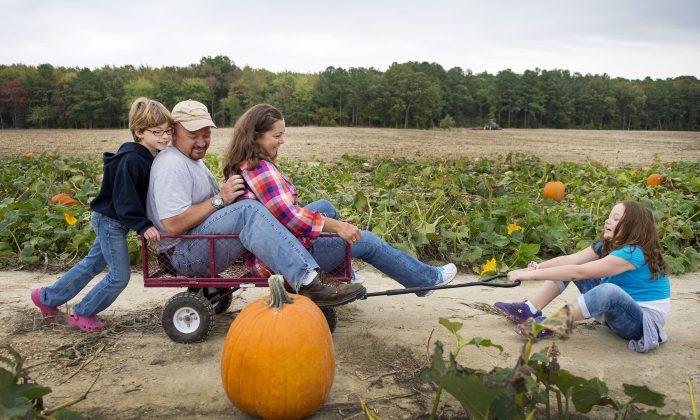 Create Fun Fall Memories: 16 Ways to Enjoy Autumn With Your Family