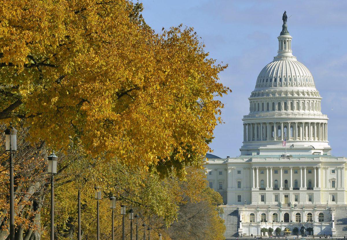 The US Congress in Washington, DC, on Nov. 6, 2011. (Mladen Antonov/AFP/Getty Images)