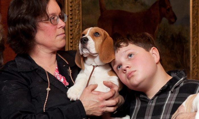 Beagles Force-Fed Pesticides, Now Released and up for Adoption