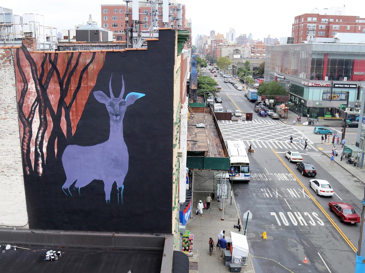 NYC Street Art Makes Statement for Human Rights in Iran