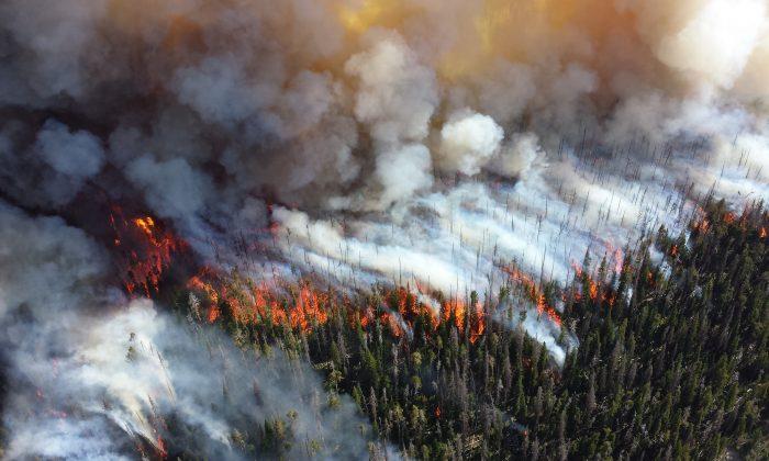 The West Is on Fire—and the US Taxpayer Is Subsidizing It