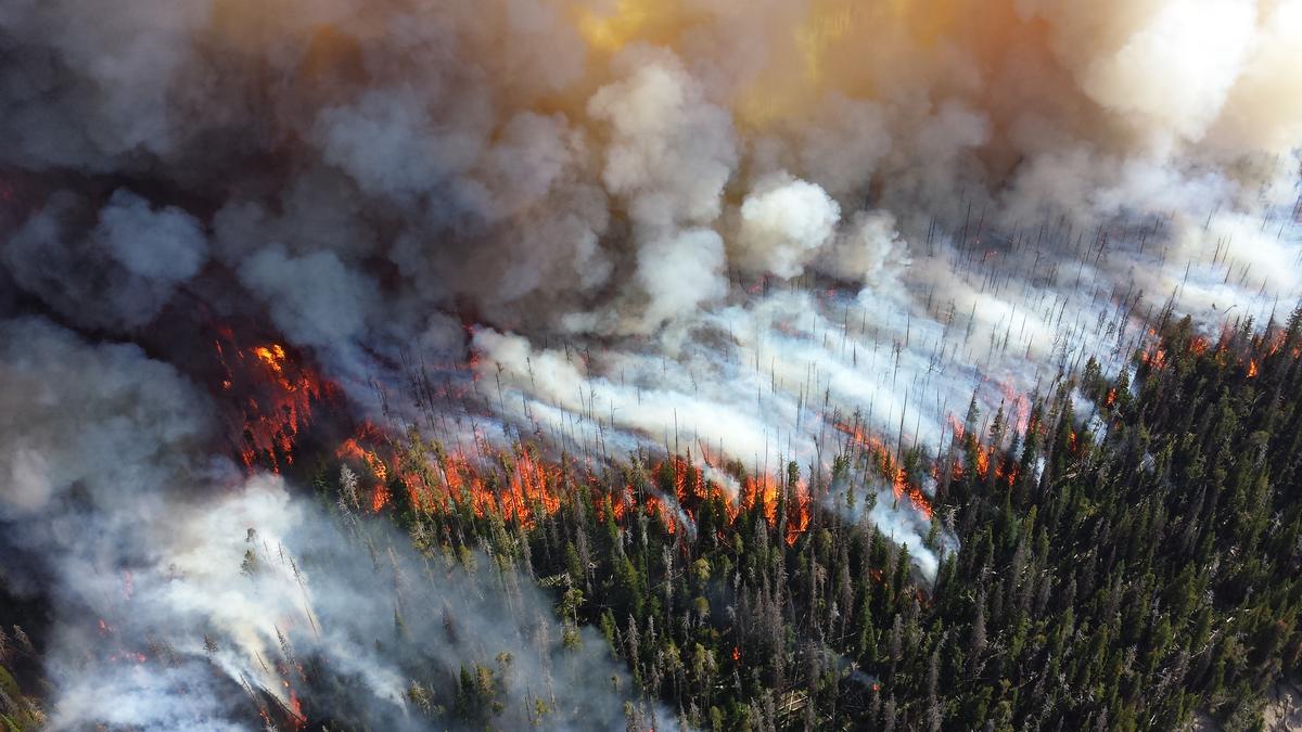 The West Is on Fire—and the US Taxpayer Is Subsidizing It