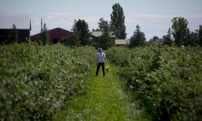 Rural Canada Is Being Neglected, Experts Say
