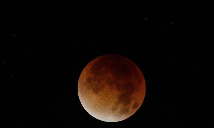Amateur Astronomers Philosophize About Life and Death Amid Red Lunar Eclipse