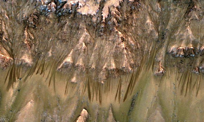 NASA: Streaks of Salt on Mars Mean Flowing Water, and Raise New Hopes of Finding Life
