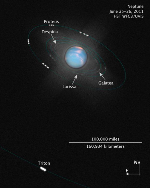 Illustration composed from Hubble WFC3 images shows the cloudy disk of Neptune orbited by its inner moons. About 30 moons are known to orbit Neptune, but most are too faint or distant to appear here. (NASA, ESA, Z. Levay/STScI)