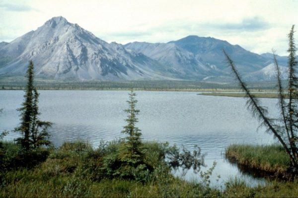 The Arctic National Wildlife Refuge in Alaska in an undated photo. (U.S. Fish and Wildlife Service/Getty Images)