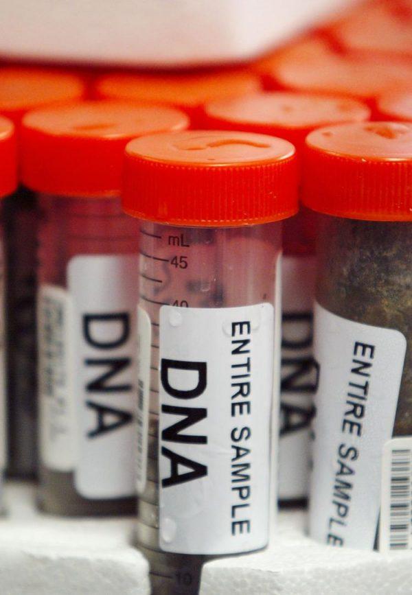California authorities are defending a law that requires police to collect DNA samples of all convicted felons. (Scott Gries/Getty Images)