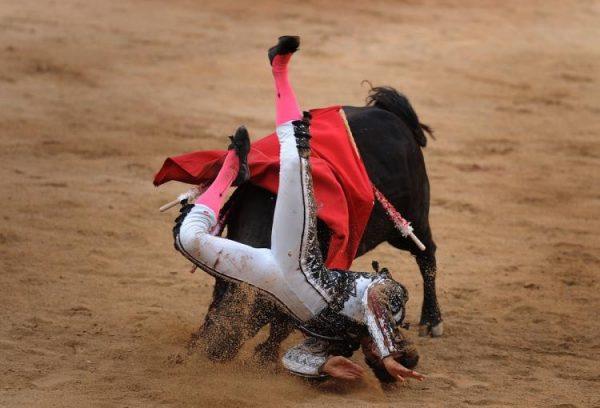 French matador Sebastian Castella is gored by a Jandilla fighting bull during a bullfight of the San Fermin festival, on July 14, in Pamplona. The festival is a symbol of Spanish culture, despite heavy condemnation from animal rights groups. (Pedro Armestre/Getty Images)