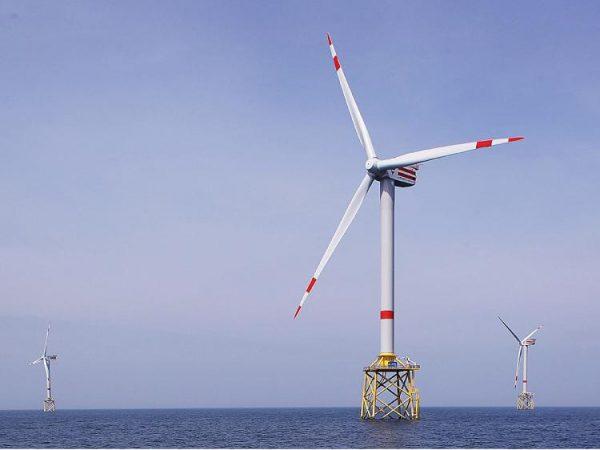 The Atlantic Offshore Wind Energy Consortium hopes to have wind farms like Alpha Ventus in the North Sea, operating off the Atlantic coast. (Sean Gallup/Getty Images)
