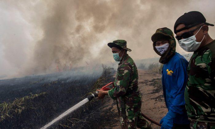 Neighbors Turn Up the Heat on Indonesia Over Forest Fires