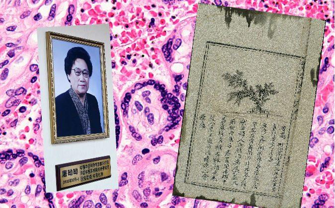 Ancient Chinese Recipe Leads to Nobel Prize