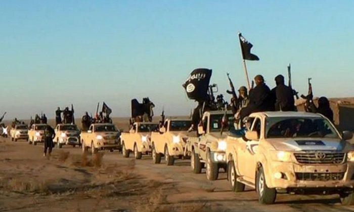 Why Do Extremists Drive Toyotas?, Asks US