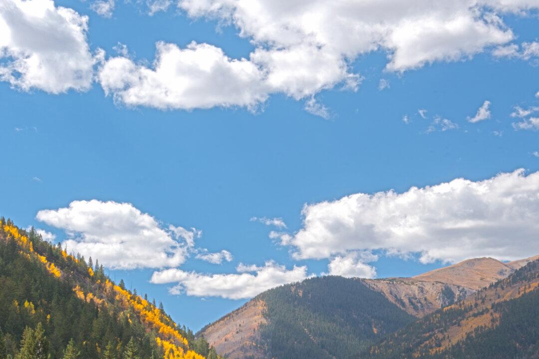 Does Nature Have Value Beyond What It Provides Humans