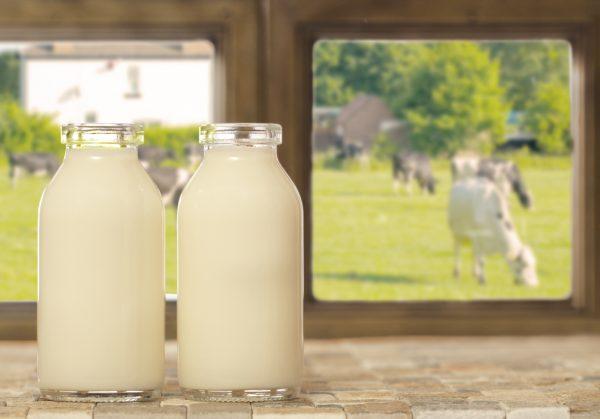 If you choose organic cow's milk, look for raw. (Chris_Elwell/iStock)
