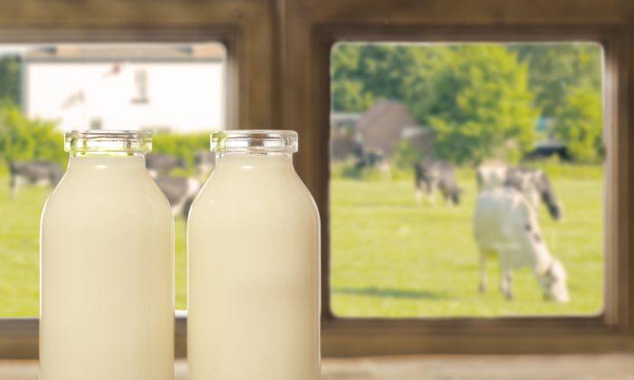 A2 Milk Shares Spill After Chinese ‘Personal Shopper’ Market Collapses