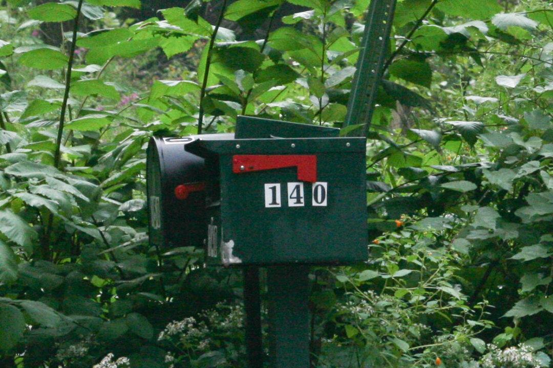 Voting Registration of 30 Deerpark Citizens Cleared