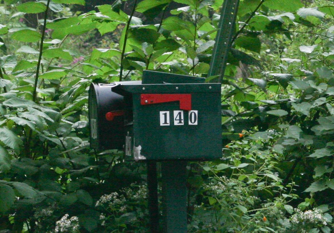 Voting Registration of 30 Deerpark Citizens Cleared