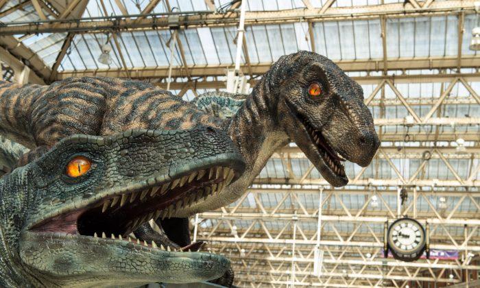 Hot or Not: Were Dinosaurs Warm-Blooded?