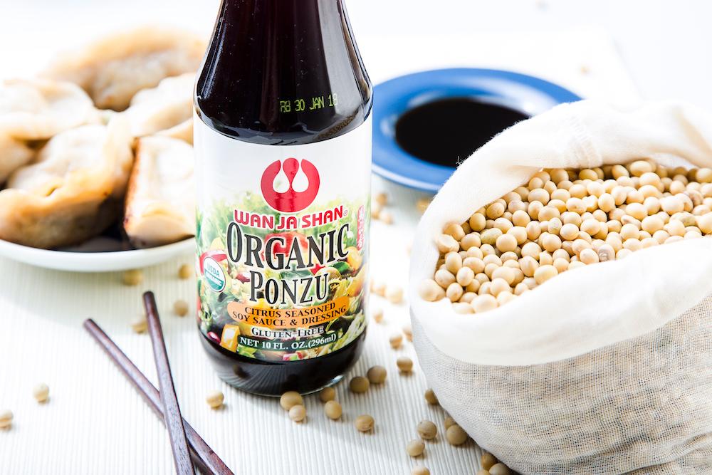 Choose soy products that are organic AND fermented. (Samira Bouaou/Epoch Times)