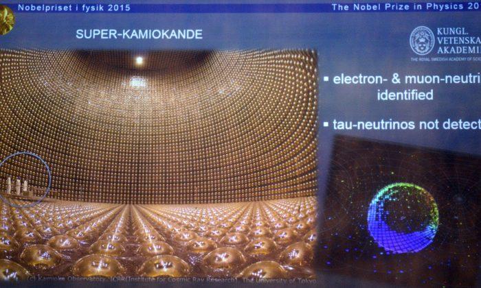 Benefits of Knowing More About Neutrinos Which Pass Through Our Bodies Unnoticed