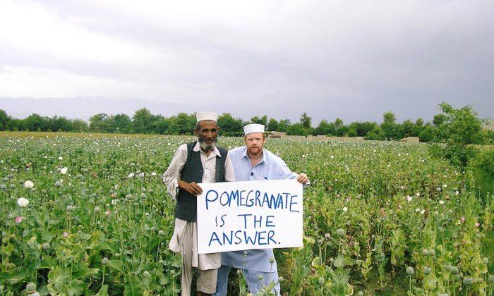 Afghan Farmers Find Alternative to Opium: Pomegranate