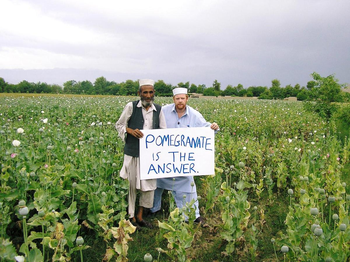Afghan Farmers Find Alternative to Opium: Pomegranate