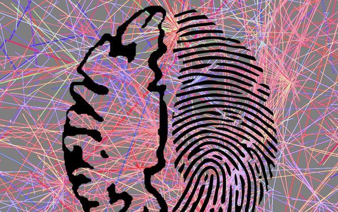 Brain Activity Is as Unique—and Identifying—as a Fingerprint