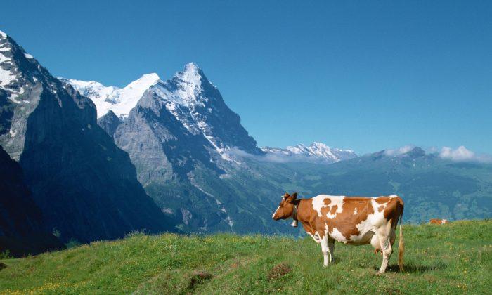 Pure Switzerland—From Interlaken to Jungfraujoch