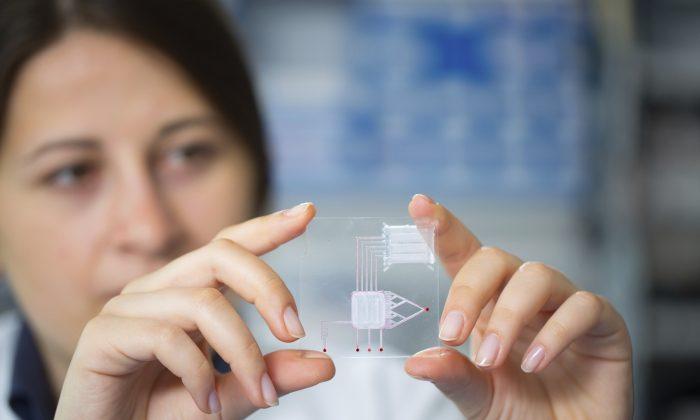 Explainer: A New Nanochip That Will Detect Bacterial Infections in 15 Minutes